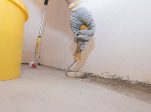 Best Termite Inspection and Treatment  in South Rosemary, NC